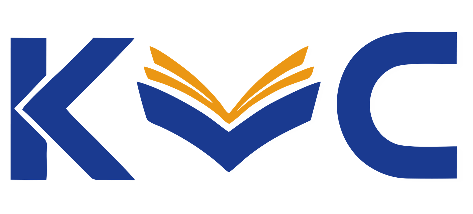 system logo